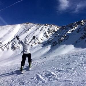 Meet your Posher, Holly